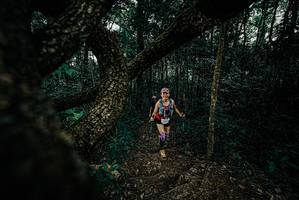 BIB: 
                            <button type="button" onclick="openModal(25682945)" class="btn btn-primary btn-sm float-right btn-popup" data-toggle="modal" data-target=".modal-high-quality">
                        <i class="fas fa-shopping-cart"></i> Add to Cart
                    </button>
                                            <button type="button" onclick="isThisMe(25682945, true)" class="btn btn-success btn-sm float-right btn-popup btn-isme hidden" data-toggle="tooltip" data-placement="bottom" title="นี่คือรูปของคุณใช่ไหม คลิกที่นี่เพื่อเอาเข้าอัลบั้ม">
                        <i class="fas fa-plus"></i> Add to album
                    </button>
                    <button type="button" onclick="isThisMe(25682945, false)" class="btn btn-warning btn-sm float-right btn-popup btn-isnotme hidden">
                        <i class="fas fa-ban"></i> Remove from album
                    </button>